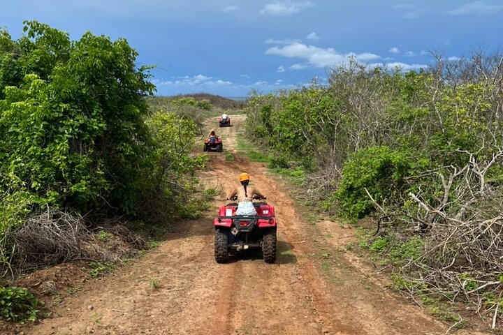 Jungle and beach ATV tour + lunch + tequila tasting - Image 4