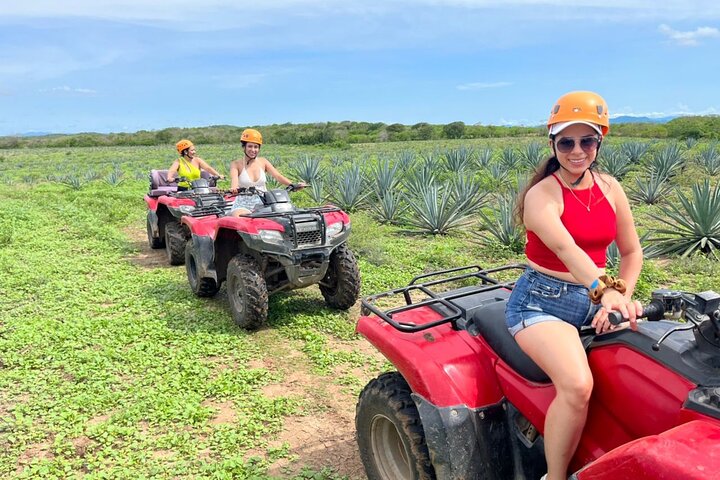 Jungle and beach ATV tour + lunch + tequila tasting - Image 1
