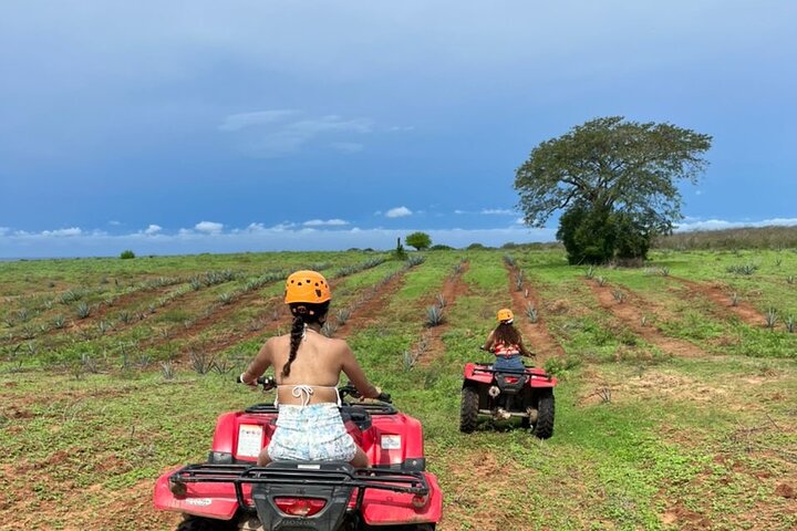 Jungle and beach ATV tour + lunch + tequila tasting - Image 2