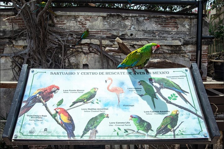 Mazatlan City Tour and Observatory - Image 3
