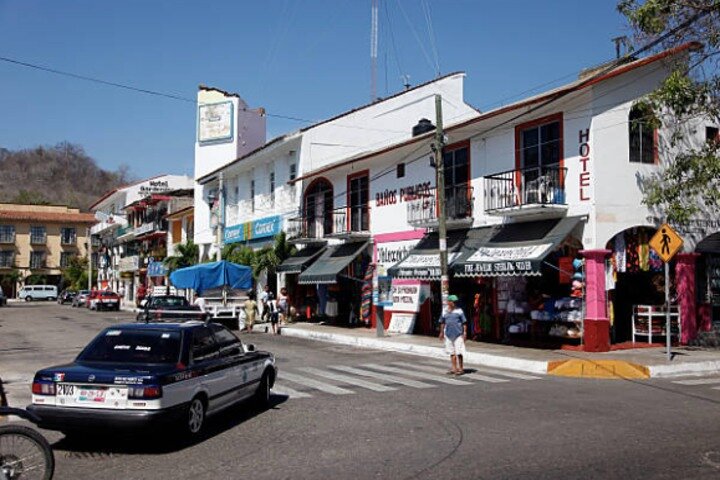 Mazatlan Shore Excursion: Small Group Highlights Tour with Lunch - Image 4