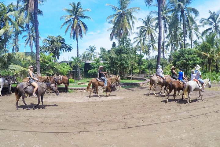 Mazatlan Sightseeing with Lunch and 2 Activities For up to 8 Passengers - Image 2