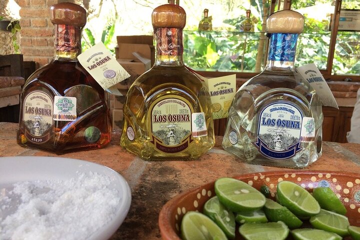 Private Colonial Tour Tequila and La Noria - Image 3