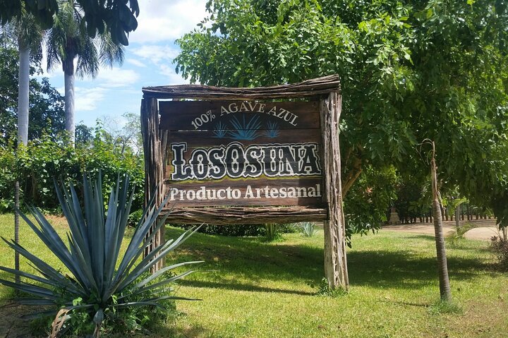 Private Colonial Tour Tequila and La Noria - Image 1