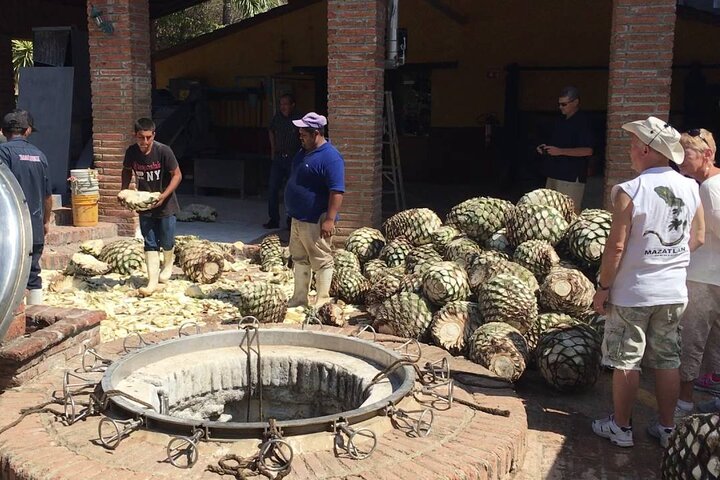 Private Colonial Tour Tequila and La Noria - Image 4