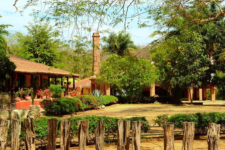 Private Colonial Tour Tequila and La Noria - Image 2