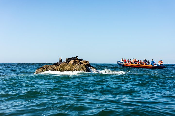 Ten Islands Expedition - Image 2