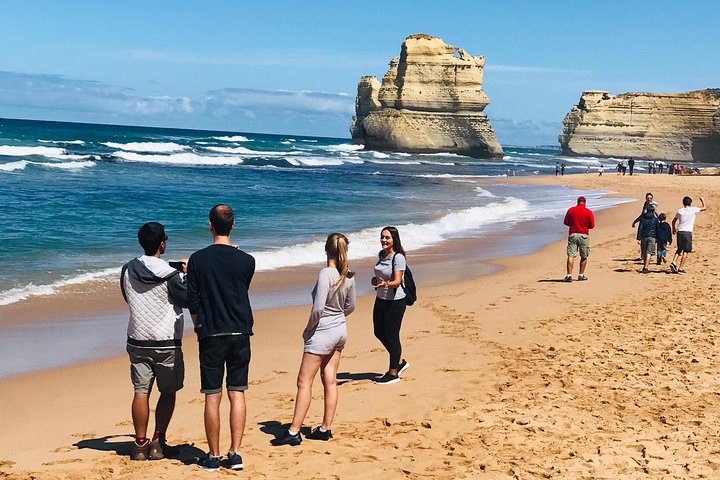 12 Apostles and Shipwreck Coast Express Private Tour - Image 5