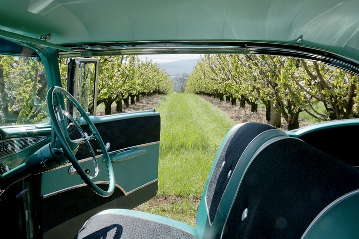 '56 Chevrolet 6-Hour Bespoke Melbourne Classic Car Private Tour (4 person) - Image 5