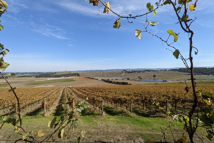 All Inclusive Full Day Private Limousine Wine Tour - Uncorked Peninsula - Image 3