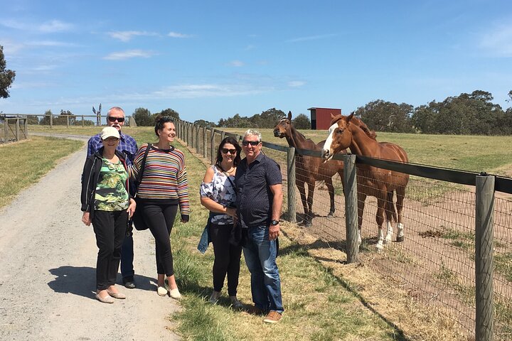 Champion Racehorse Tour with Beer and Wine Tasting - Image 5