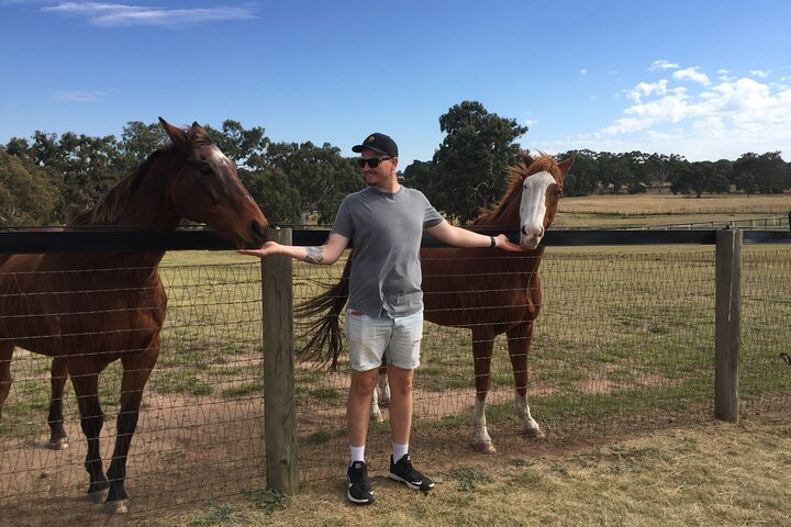 Champion Racehorse Tour with Beer and Wine Tasting - Image 1