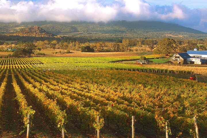 Champion Racehorse Tour with Beer and Wine Tasting - Image 2