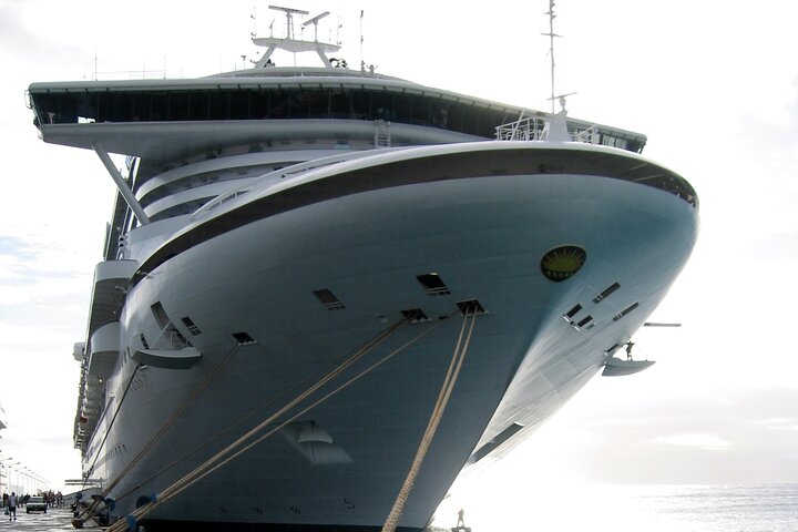Cruise Ship Shore Excursion - Private Great Ocean Road Express Tour (9 Hour) - Image 2