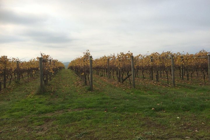 Customized private winery day tour in Mornington Peninsula at your own choices - Image 4