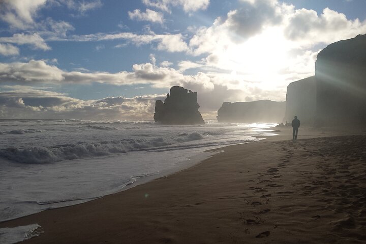 Express Twelve Apostles Day Trip from Melbourne - Image 4
