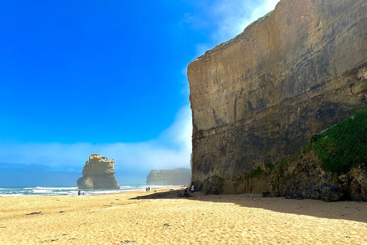 Full-Day Private Tour in Victoria - Image 2