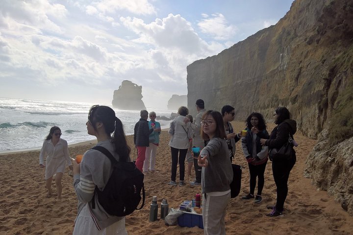 Great Ocean Road Full Day Private Experience - Image 4