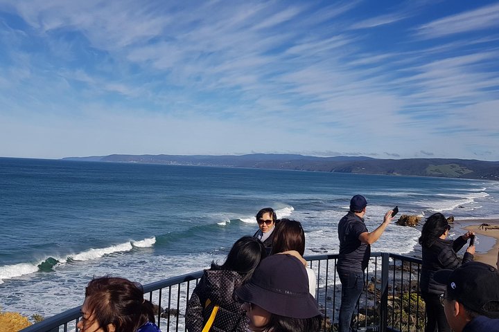 Great Ocean Road Private Luxury Tour Reverse - Image 3