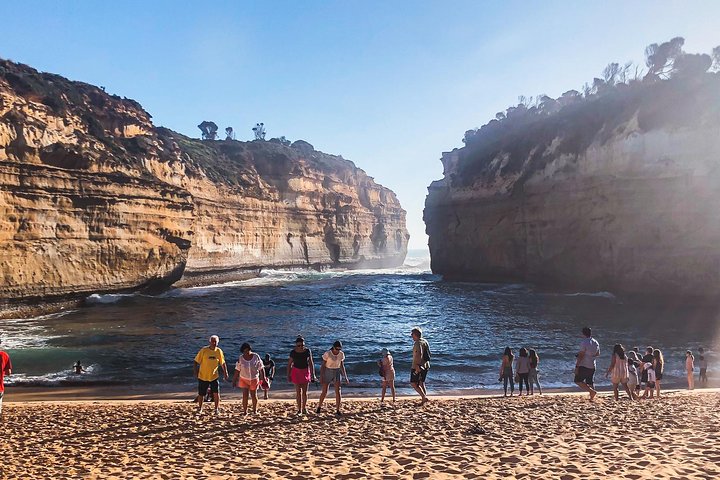 Great Ocean Road & Twelve Apostes - Affordable Private Tour - Image 4