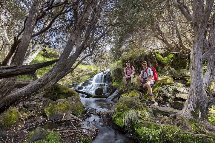 LGBTQ+ Friendly 9-Hour Great Ocean Road Private Tour  - Image 4