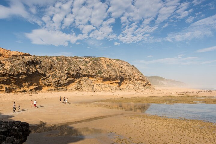 Mornington Peninsula Gourmet Full-Day Private Tour  - Image 3