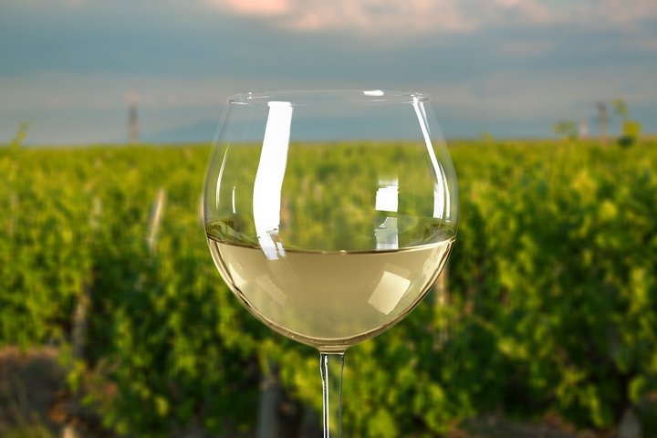 Mornington Peninsula Private Car Winery Tour.1-7 People One Car Price. - Image 5