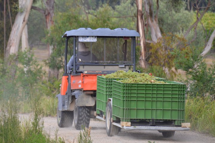 Mornington Peninsula Private Car Winery Tour.1-7 People One Car Price. - Image 4