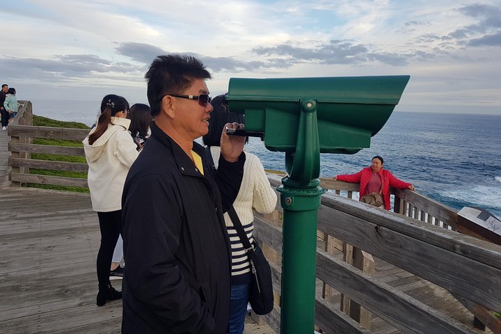 Phillip Island Private Experience - Image 3