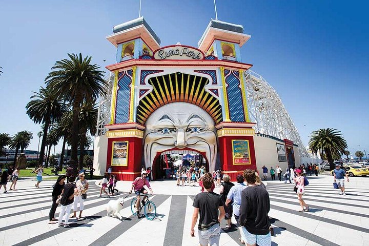 Private 8 Hour Melbourne Tour including Moonlit Sanctuary Visit. - Image 1