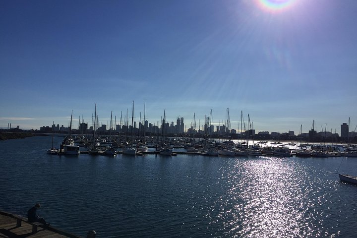 Private 8 Hour Melbourne Tour including Moonlit Sanctuary Visit. - Image 4