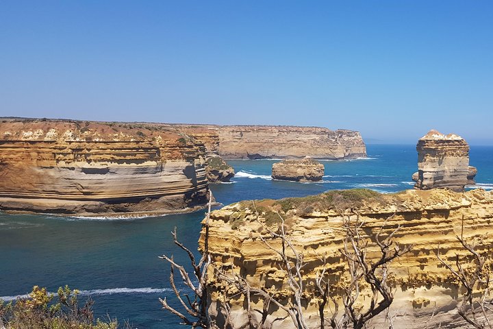 Private and Customised Great Ocean Road and 12 Apostles Tour - Image 4