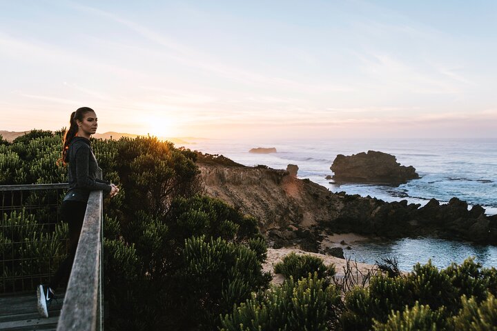 Private Cruise Ship Excursion to The Great Ocean Road *Pick up @ Cruise Terminal - Image 4