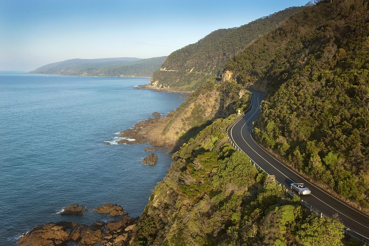 Private Great Ocean Road and Twelve Apostles Tour from Melbourne - Image 4
