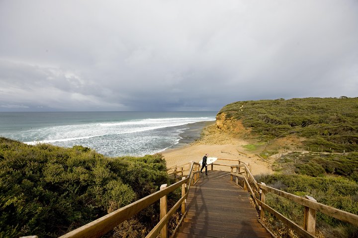 Private Great Ocean Road and Twelve Apostles Tour from Melbourne - Image 5