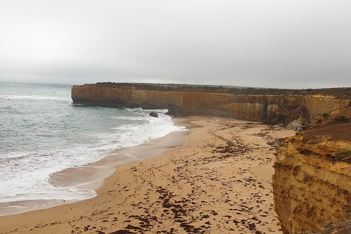 Private Great Ocean Road Day Trip from Melbourne - Image 5