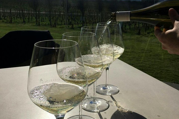 Private, Luxury and Tailored Yarra Valley Wine Tour - Image 5