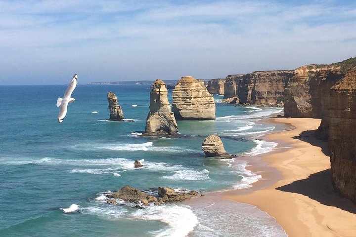 [PRIVATE TOUR] Express Great Ocean Road | Day Trip - Image 1