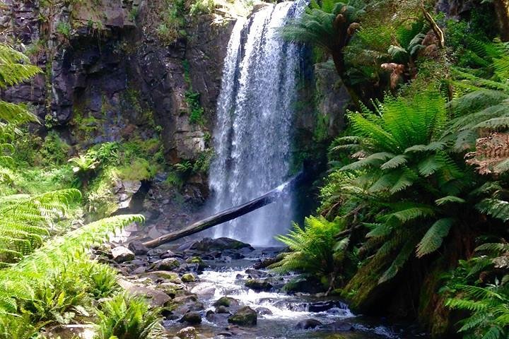 Private Tour - Great Ocean Road Express Tour - 9 Hour Duration - Image 2