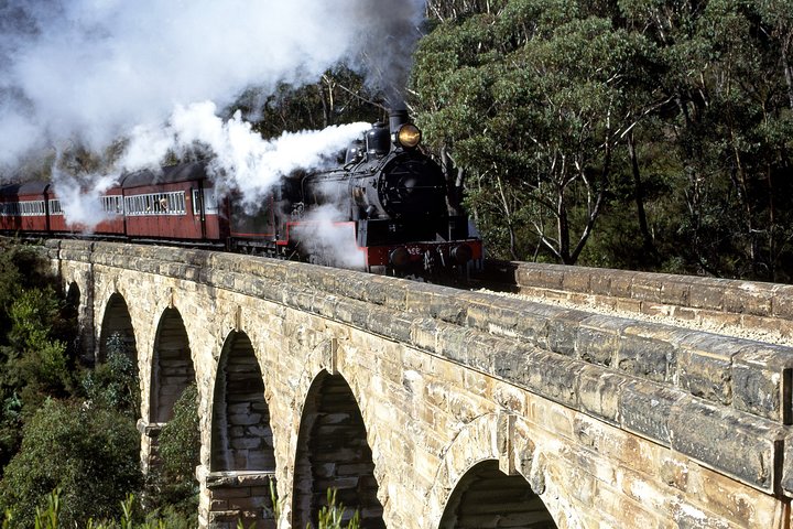 [Private Tour] Healesville Sanctuary Wildlife & Puffing Billy Steam Train - Image 2