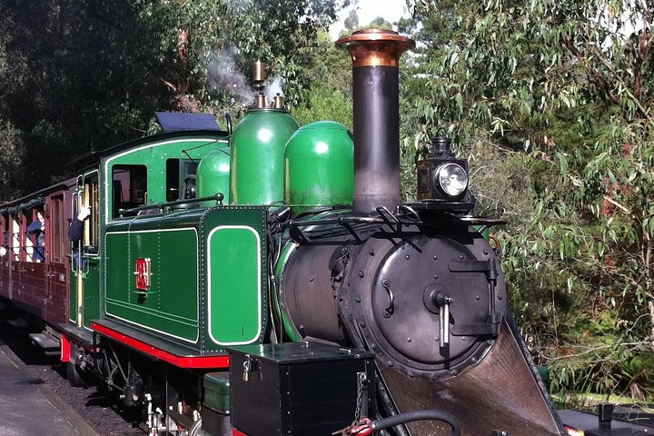 [Private Tour] Healesville Sanctuary Wildlife & Puffing Billy Steam Train - Image 5