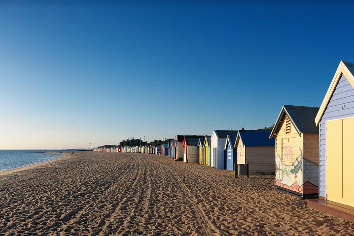 [PRIVATE TOUR] Melbourne City And Bayside Beach Tour - Image 3