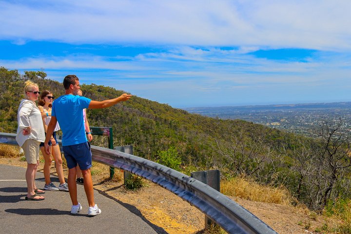  [Private Tour] Mornington Peninsula Family, Maze and Fun! - Image 5