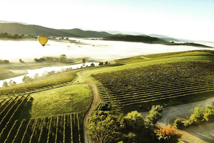 [PRIVATE TOUR] Mount Dandenong and Yarra Valley Winery Tour - Image 1