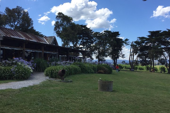 Private Tour of Yarra Valley 8 Hour Wine Tour - Image 5