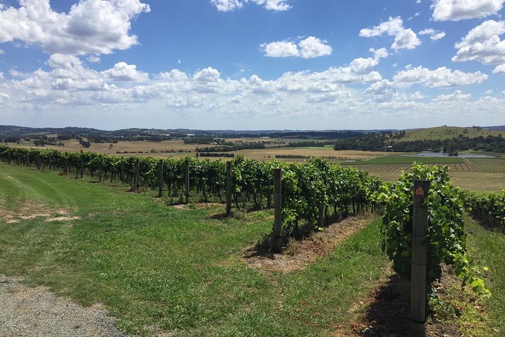 Private Tour of Yarra Valley 8 Hour Wine Tour - Image 3