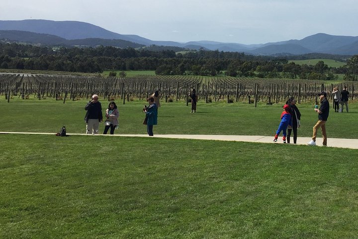 Private Tour of Yarra Valley 8 Hour Wine Tour - Image 1