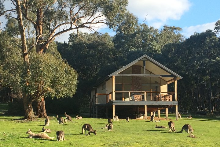 [PRIVATE TOUR] Yarra Valley Winery | Day Tour - Image 5