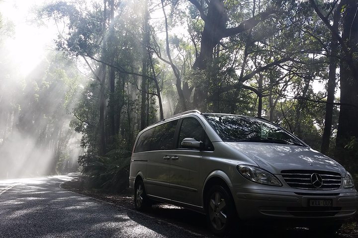 Shore Excursion-Healesville-Sanctuary-Private-Group- Max 7 PAX -Yarra Valley  - Image 2