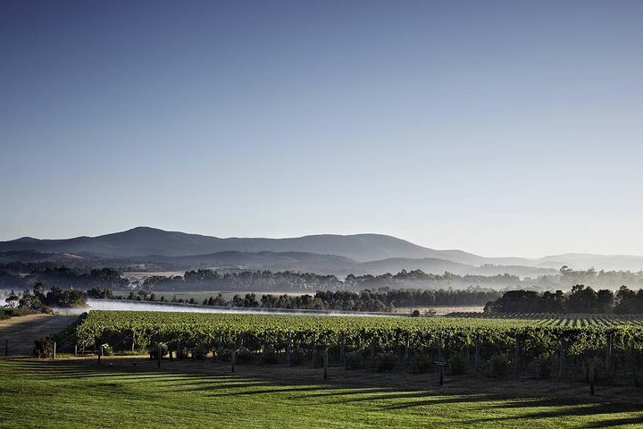 Yarra Valley Exceptional - Private Day Tour - For 2 - with Lunch  - Image 2